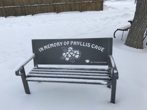 Age-Friendly Rosetown commemorative bench in memory of Phyllis Cave.
