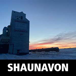 Thumbnail image for Age-Friendly Shaunavon. Image is of Shaunavon grain elevator at sunset.